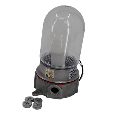 Light Fixture 1806 LED w/ Gu24 Lamp & Globe